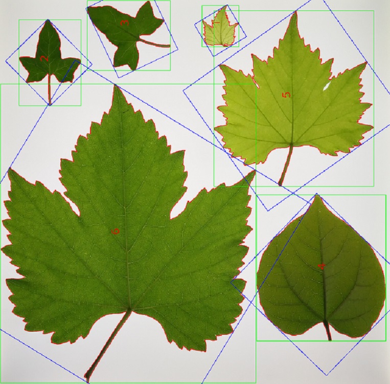 叶面积分析系统型号M335803-SY-Leaf1000