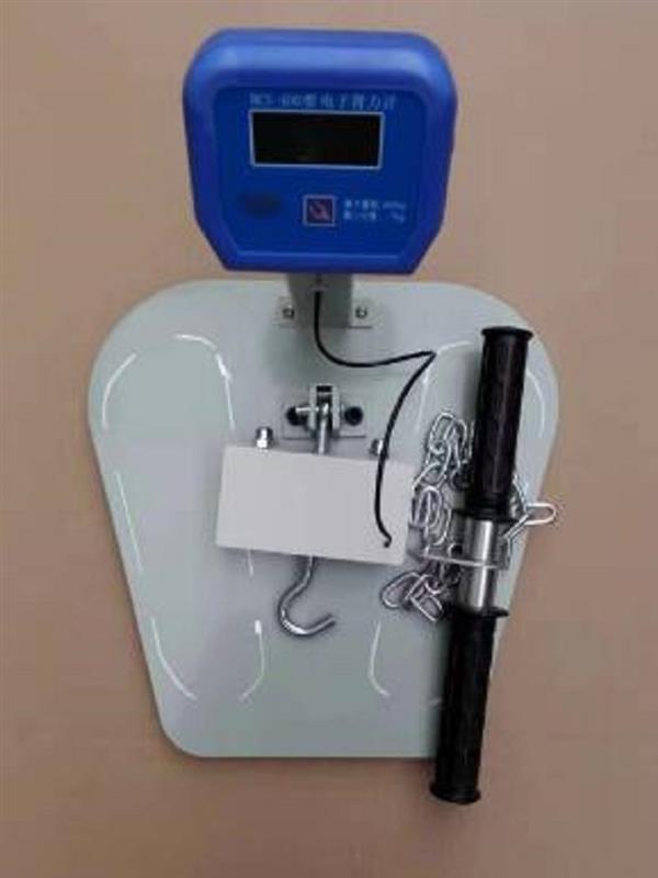 运动体质检测仪器型号BCS-400库号M321389   