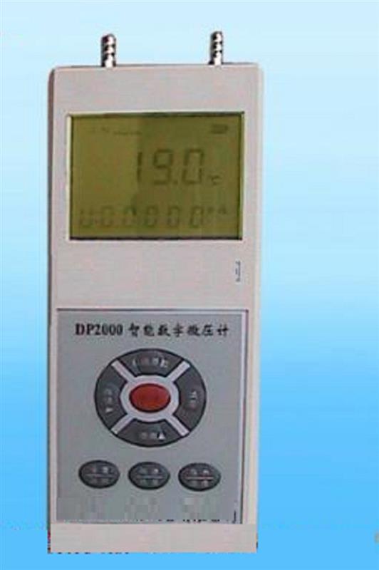 智能数字微压计 型号DP2000库号M407664   