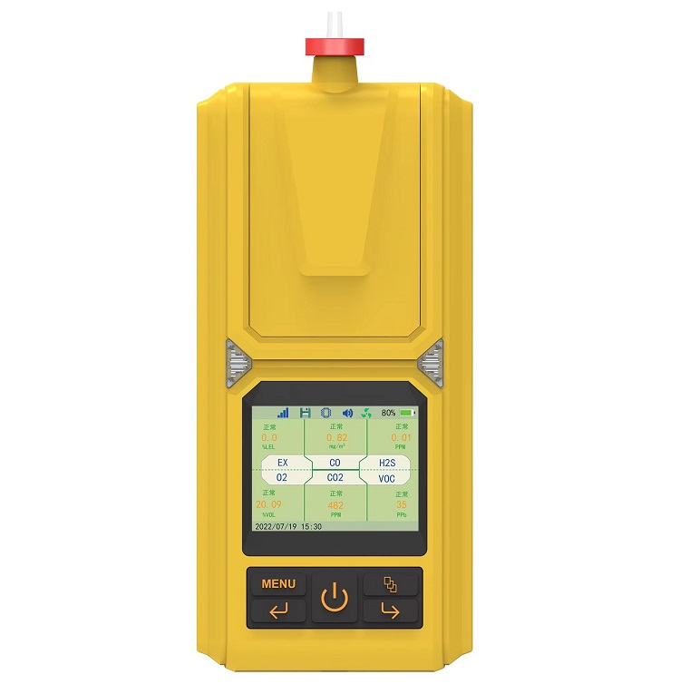 气体检测仪SGA-606B-P5-M库号M397587   