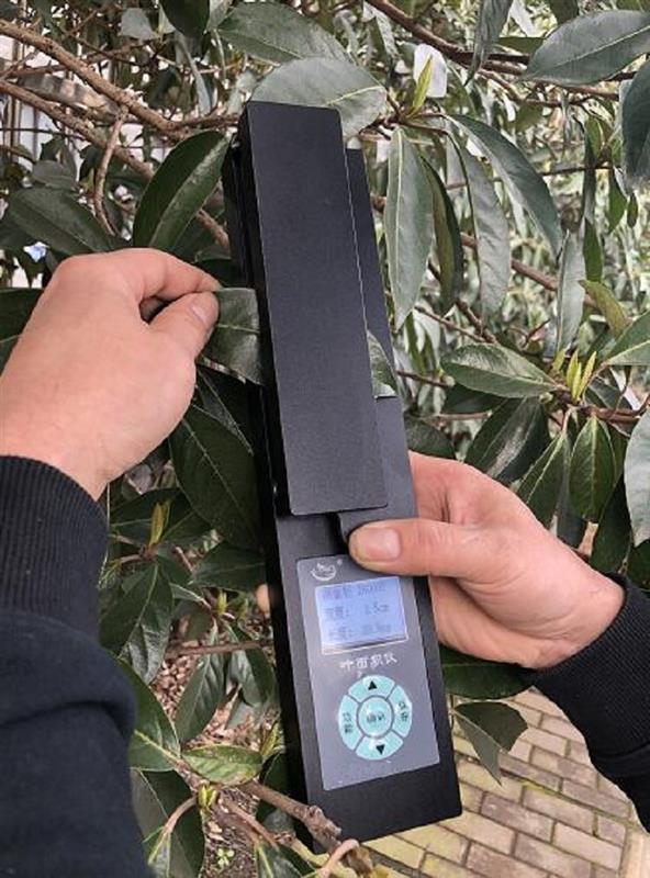 叶面积测定仪 型号YMJ-G  库号：M404448   