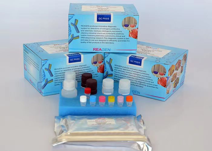 辣椒素试剂盒型号RNF91015库号M346234   