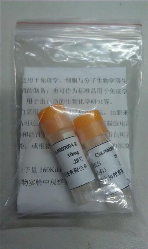 牛免疫球蛋白G(IgG)标准品库号M349194   