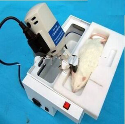 大鼠电动断头器型号YLS-19A库号M397163 