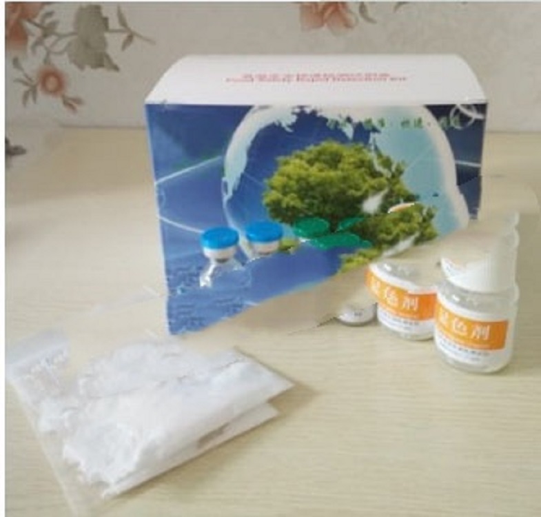 食盐含碘量检测试剂YS722-20T库号D11538  