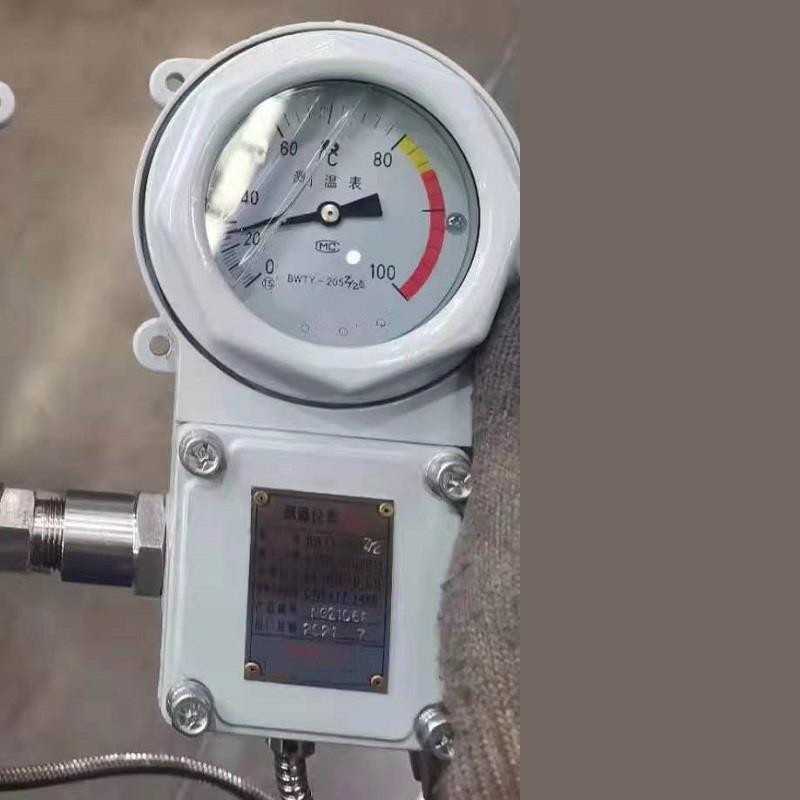 温度表型号:BWTY-205Z/2库号：D408760  