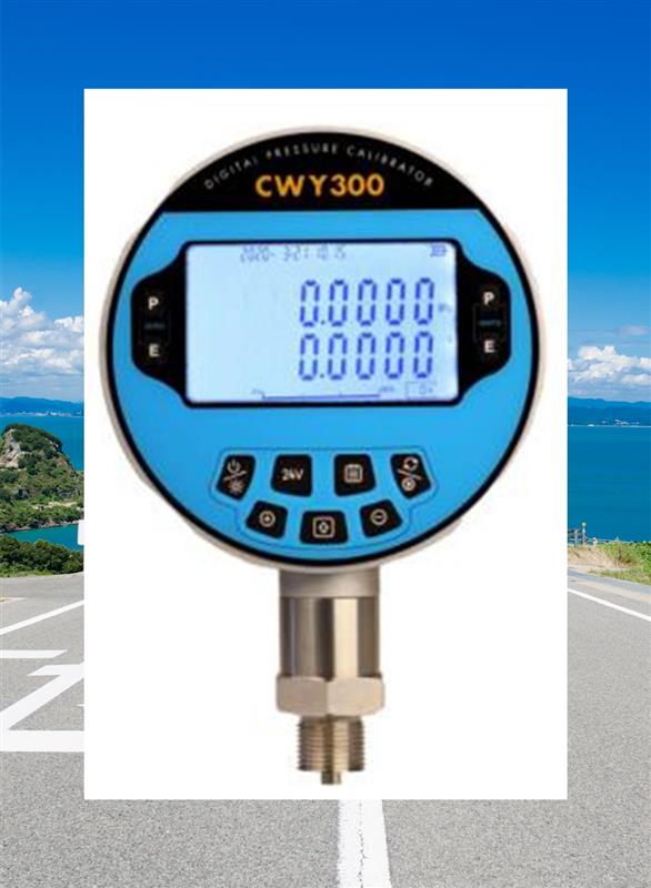 高精度压力表型号CWY300库号D392123
