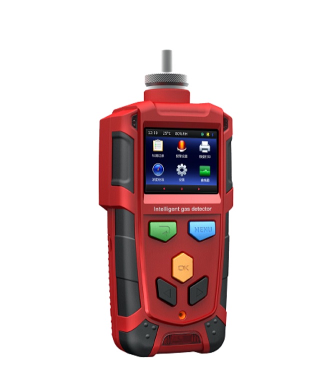 便携氧气检测报警仪B1010-02-1库号D143807 