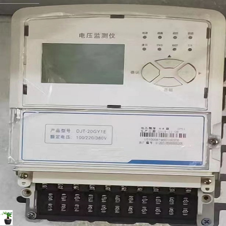 电压监测仪DJT型号DJT-20GY1E库号D399292 