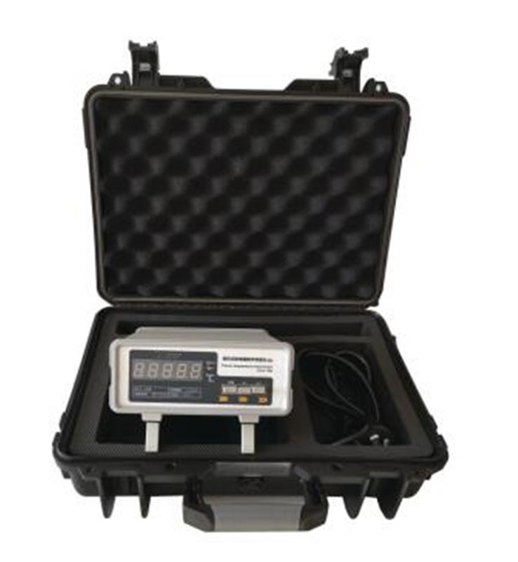铂电阻数字测温仪HC6-RCY-1A库号D300447 
