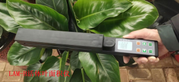 活体叶面积测定仪型号LAM-H库号D96165 
