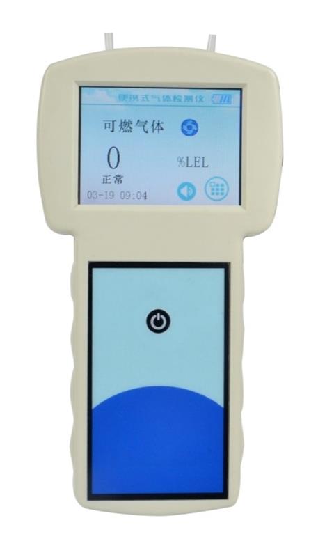 便携式氧气分析仪型号KP668库号D391763 