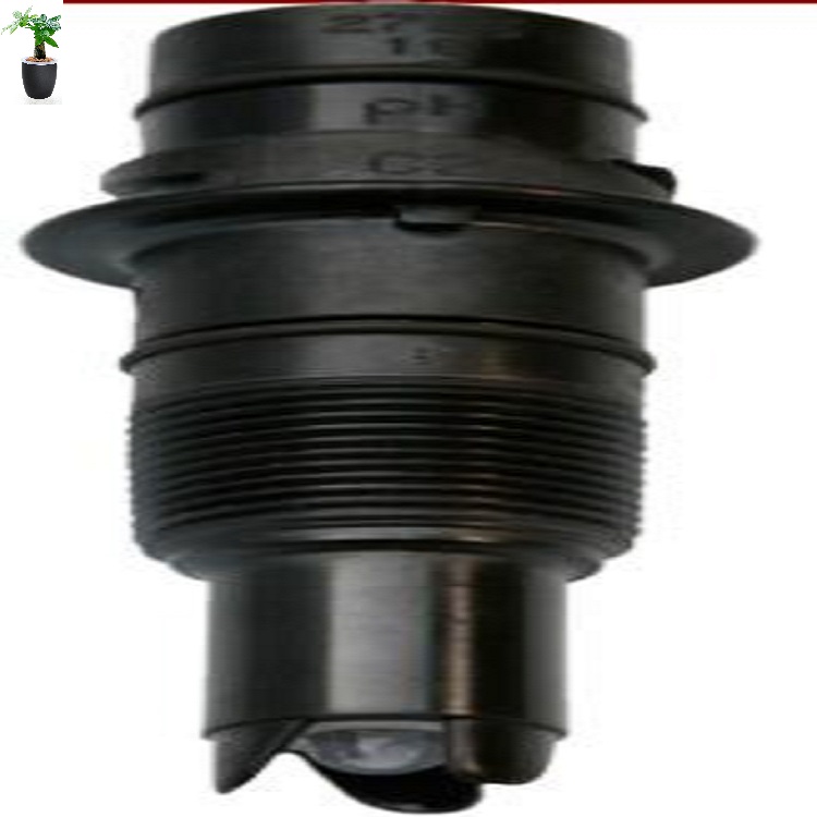 纯水电极GF11-3-2726-LC-10库D393240 