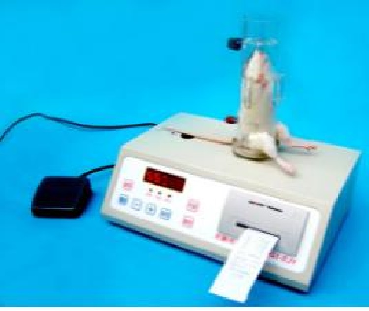 鼠尾光照测痛仪型号YLS-12A库号D350262   