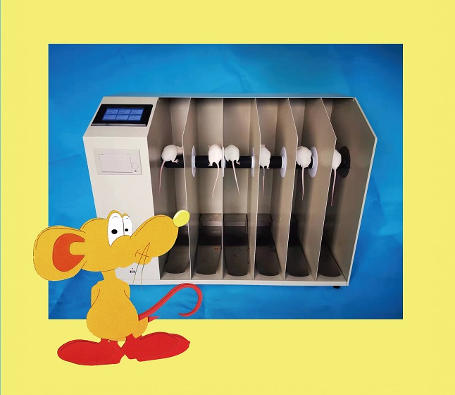 大小鼠转棒测试仪型号YYLS-31B库号D410478