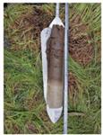 定深式采泥器 新地标 型号XDB0203 M54873 