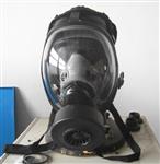 防毒面具 型号HSGF500 库号M308265 