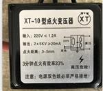 点火 型号XT222-XT-10库号M390939 