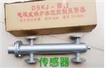 锅炉水位计控制器DS100-DSKJ-IV库号M62636 
