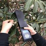 活体叶面积测定仪 型号YMJ-G库号M405660 
