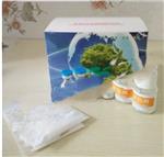 苯酚速测盒/化妆品检测YS-L00058库号D11925 