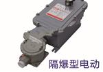电动执行器KB02-BDF05T-24库号D402997 