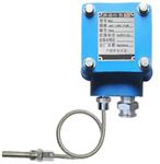 防测温仪表型号NA51-BWZD3库号D19182  