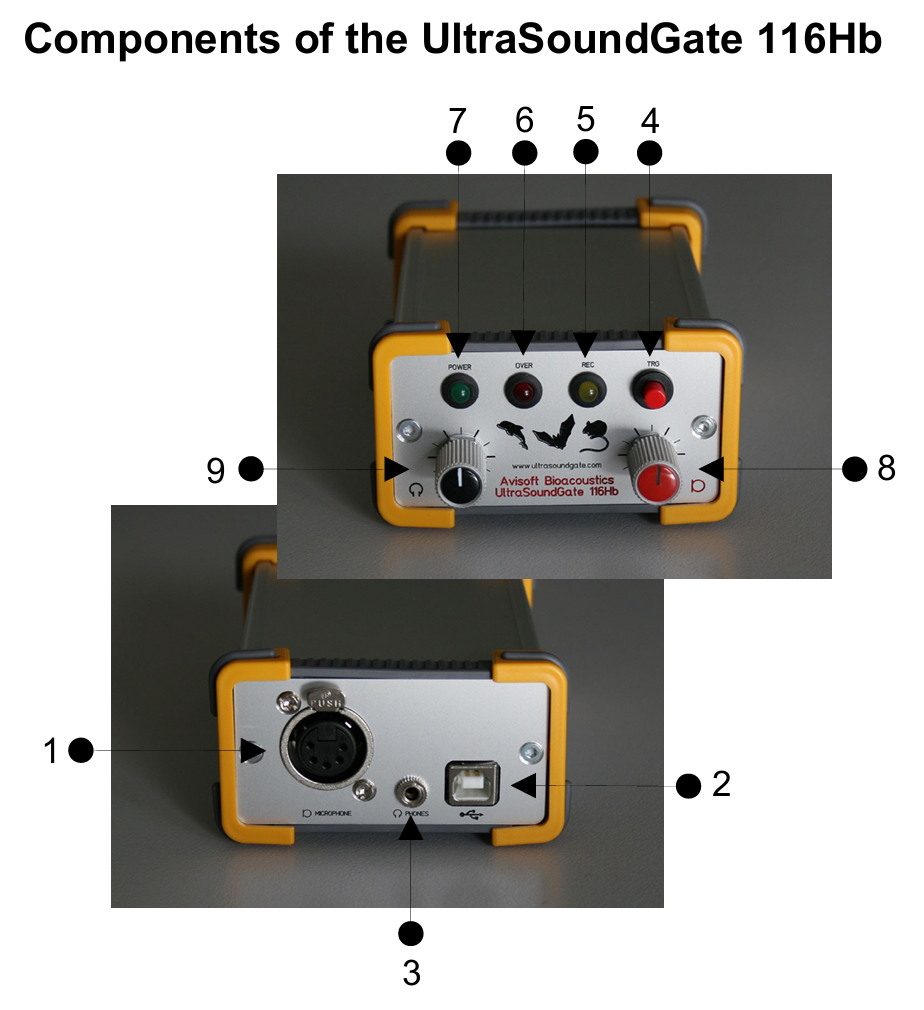 动物超声声谱分析系统116Hb