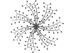 动物声学仿生麦克风阵列